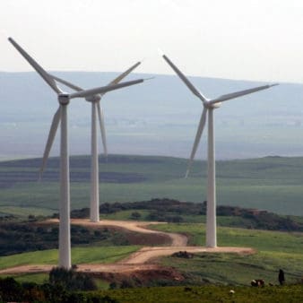 How does climate change impact the financial stability policy of the Central Bank of Tunisia?